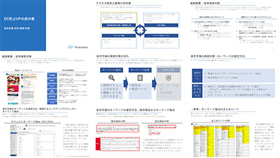 株式会社Proteinumの資料目次イメージ