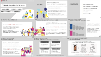 株式会社Carry Onの資料目次イメージ
